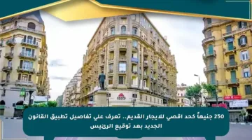 250 جنيهاً كحد أقصى للإيجار القديم.. تعرف على تفاصيل تطبيق القانون الجديد بعد توقيع الرئيس